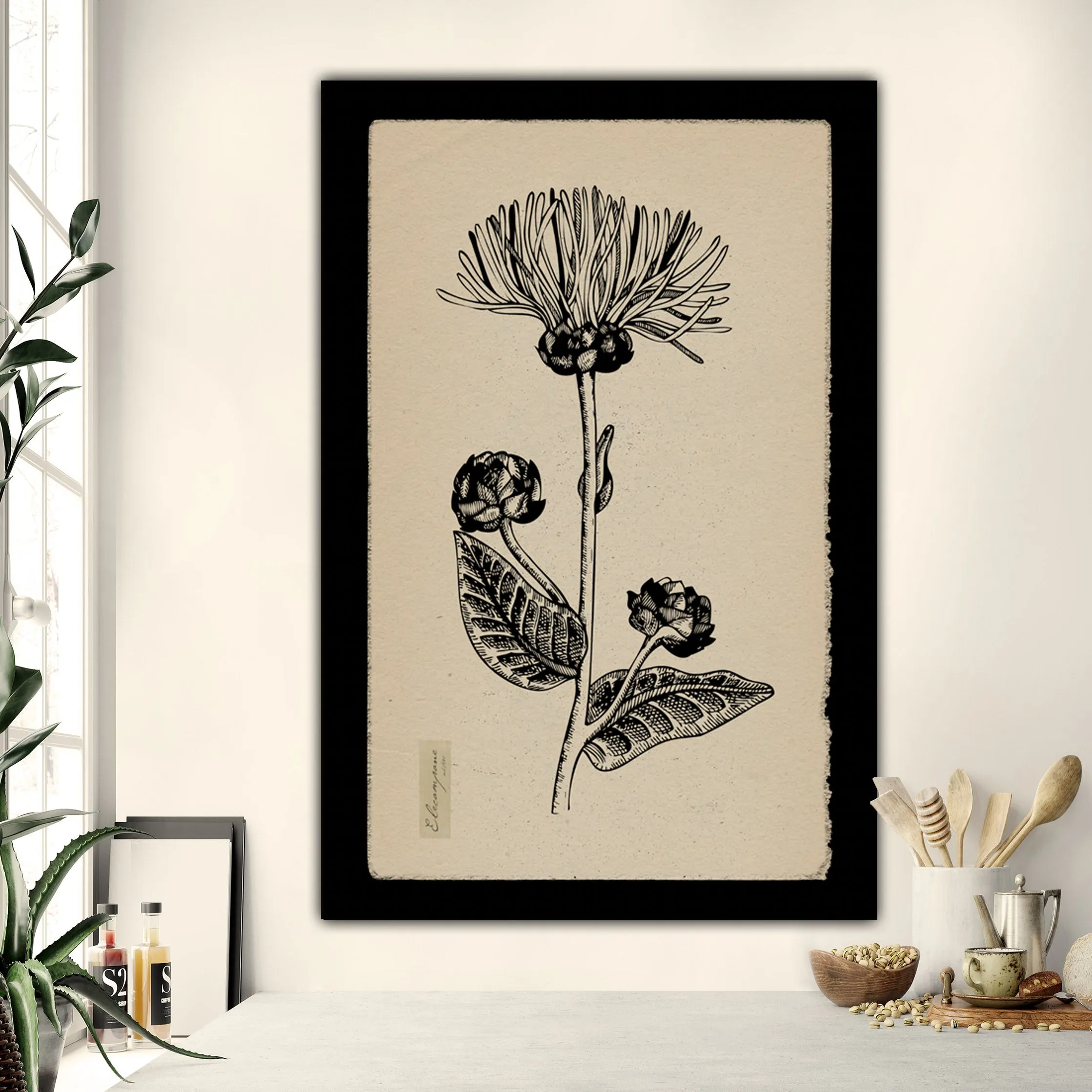 Vintage Botanical Herbs on Creme Background